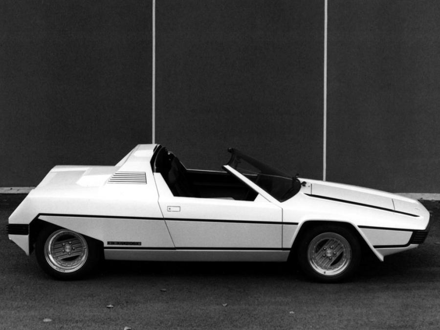  Ferrari 308 GT Rainbow Concept 1976 года  (фото 8 из 22)